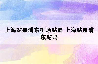 上海站是浦东机场站吗 上海站是浦东站吗